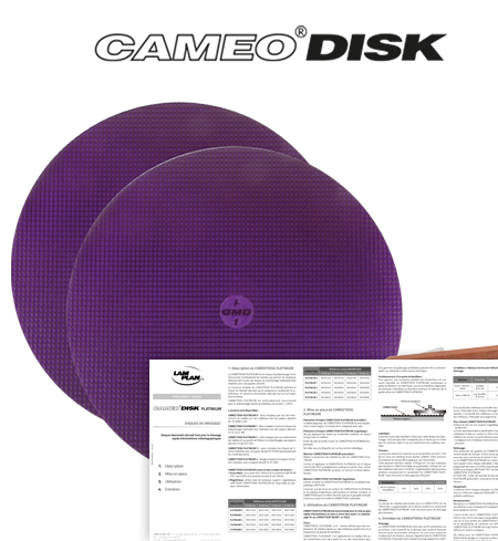 disc, dressing and pre-polishing support cameo disk DMD