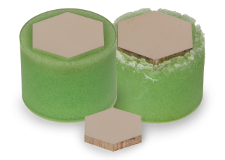 665 Methylmethacrylate resin